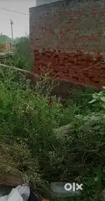 Sell for plot