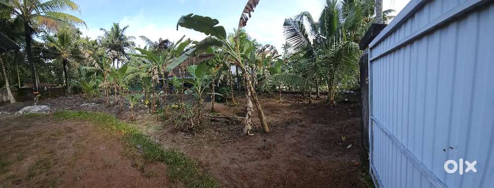 33 സെന്റ് സ്ഥലം വില്പനക്ക്