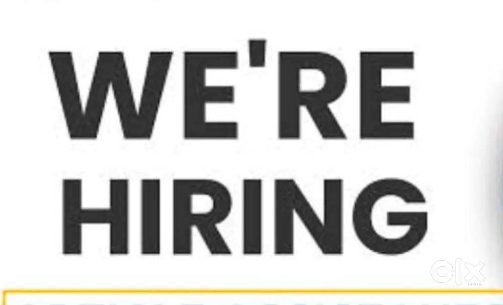 Assistant accountant