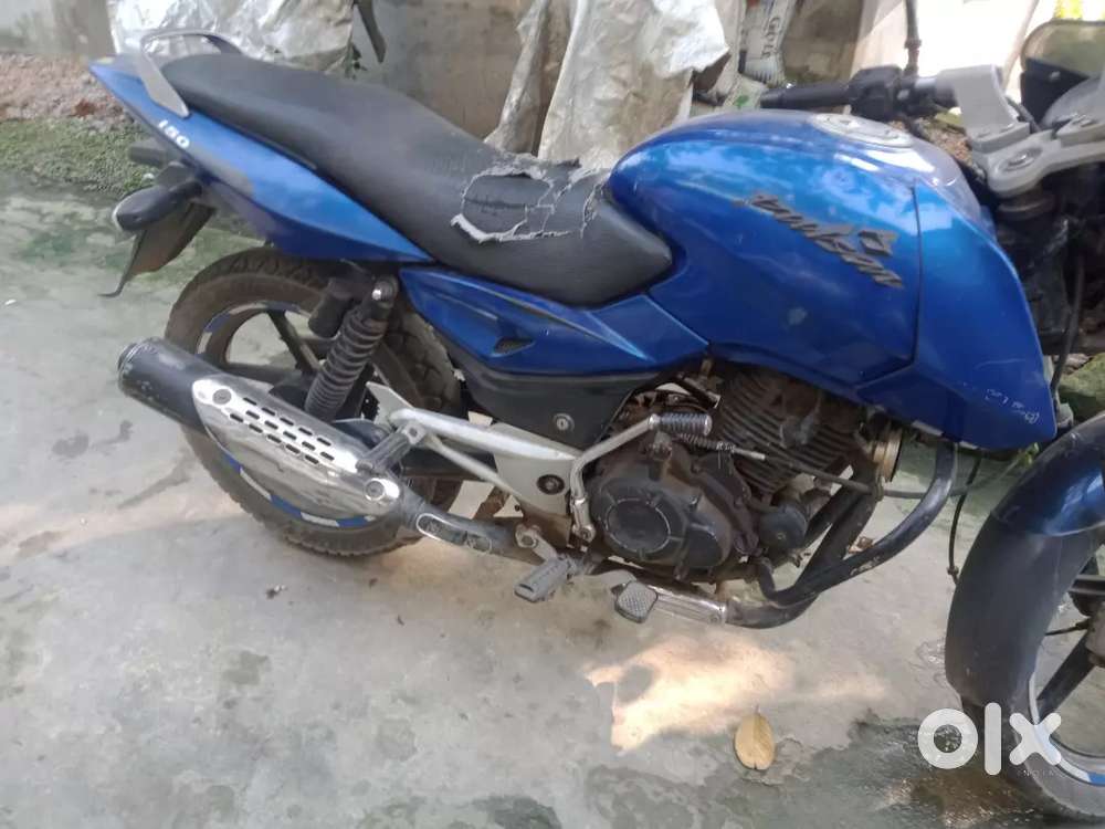 New condition,smooth sound,no scratches