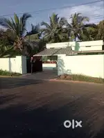 NH66 Koonammavu frontage commercial space(house) for rent 1500 SQ feet