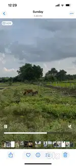 For sale semi commercial  plot