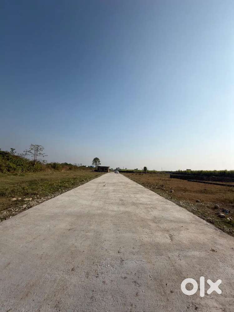 Fresh gated plotting in bullawala @14000/ sq yd