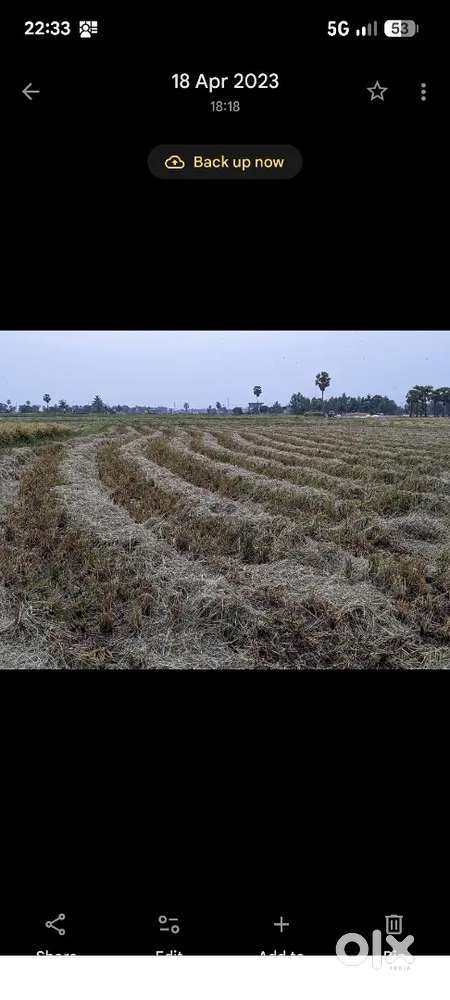 32 సెంట్లు వరి పొలం అమ్మబడును.