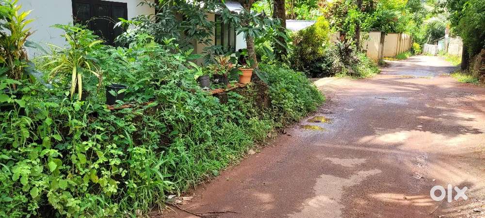 റോഡ് സൈഡ് 10 സെൻ്റ് വീടും സ്ഥലവും