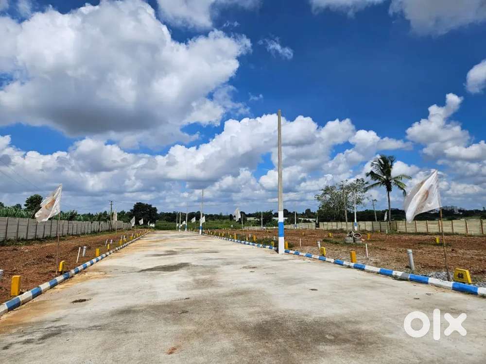 Dc convention E katha  individual katha