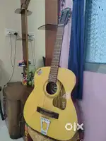 Givson Kohinoor Rose Acoustic Hawaiian Guitar