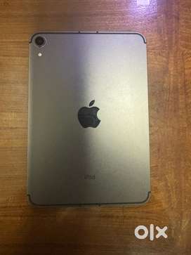 Ipad Mini 6th Gen 256GB with cellular