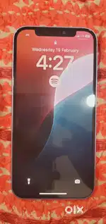 iPhone 12 purple