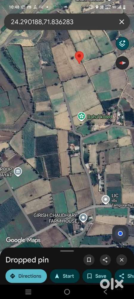 Farm ki kheti and bor