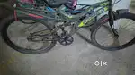 One year old unisex cycle
