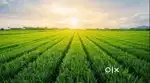 agriculture land for sale 2 acres