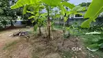 Residential Plot for sale (7.350 cent)