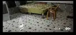 Room' for rent 2500