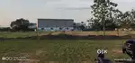 Plot Sale Lowest Price .Per Sqft 850 rs olny
