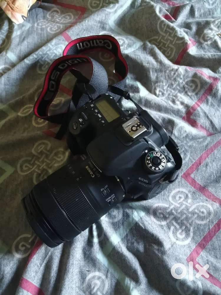 Canon 80d Eos