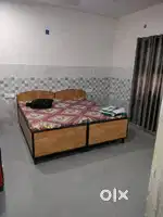 Require female flatmate pure vegetarian