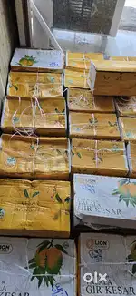 Talala Gir Famous Mango