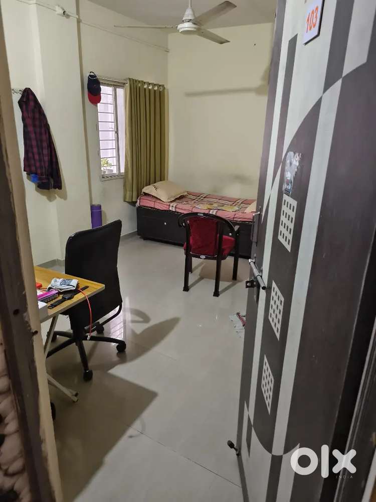 1RK Beautiful and Nice Flat