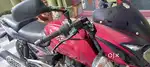 Pulzer for sale
