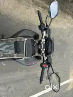 About hornet