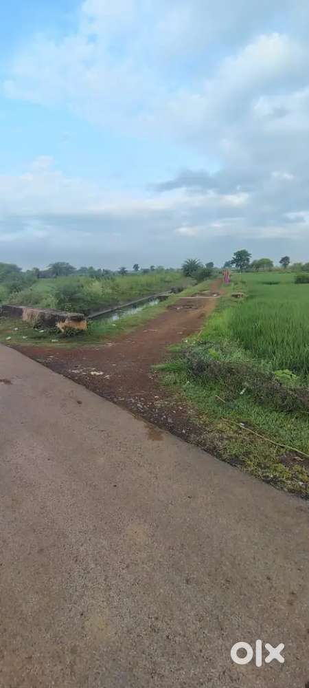 Two Residential plots available in shanti colony dhamtari