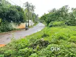 Build Your Dream Home! Residential Plot for Sale Near Mattannur town