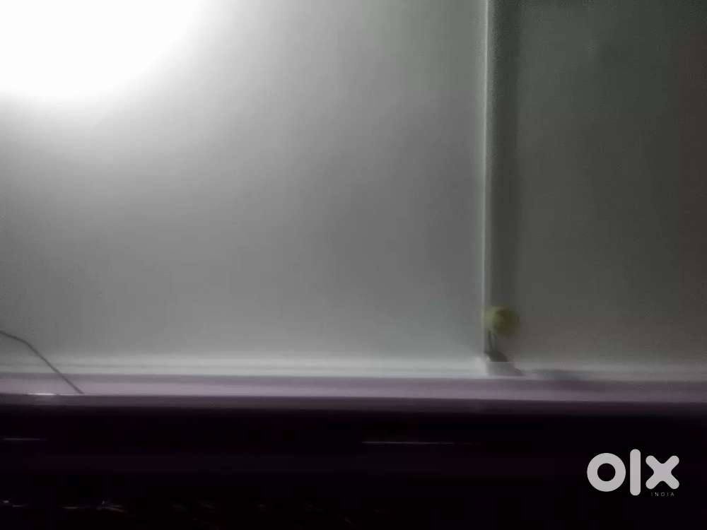 3Room house rent in 2nd Link Road