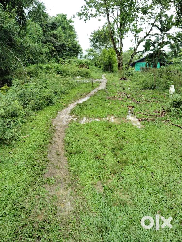 GOLAGHAT PURBANCHAL PATH WARD NO10 TOWN AREA LAND SALE 2500000 P/KOTHA