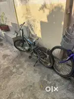 Lady bicycle
