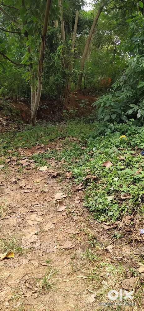 പ്ലോട്ട് വില്പനക്ക്