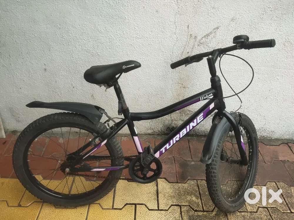 Cycle...3 years
