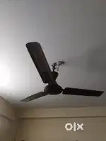 Singer Celling Fan For Sell