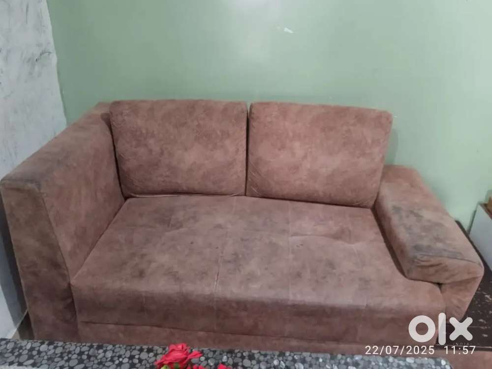 A 2 seater sofa 2 big cushion