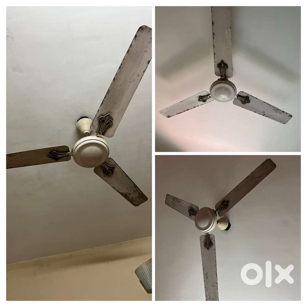 Ceiling fans