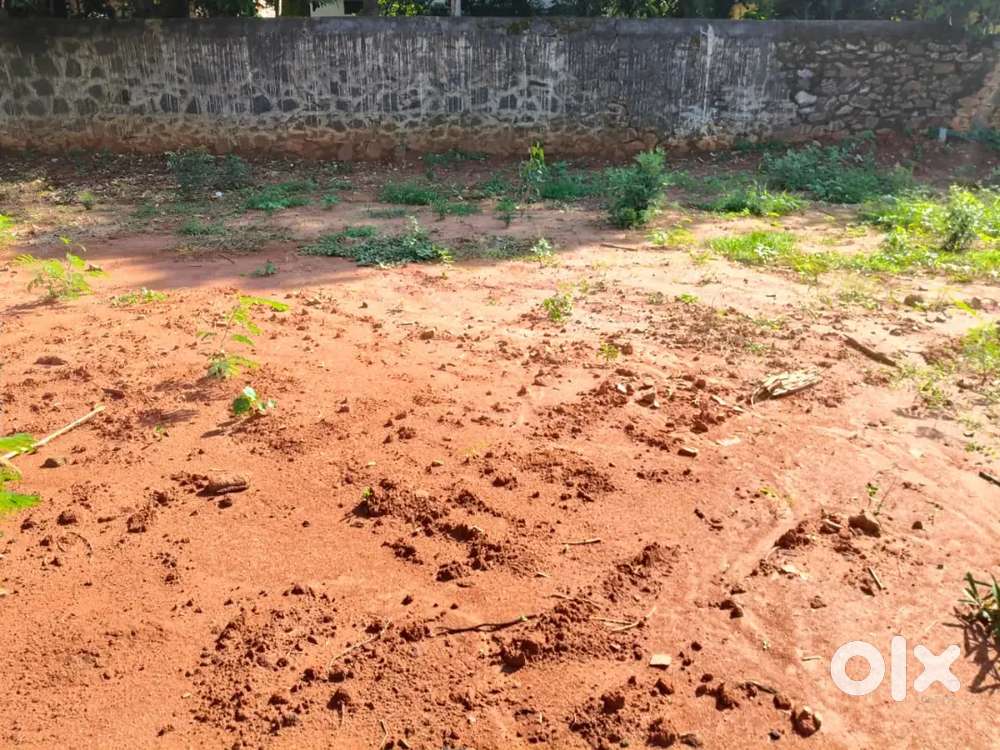 5 Cent Nesamony Nagar Nagercoil Kanyakumari