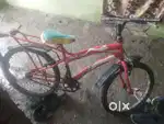 2 year old cycle  company scorpion