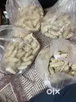 Momo holselar