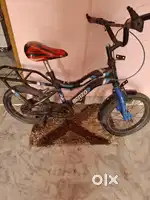Benzo bicycle