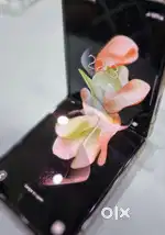 Samsung Galaxy Z Flip 4 28/256Gb Golden Pink phone samsung