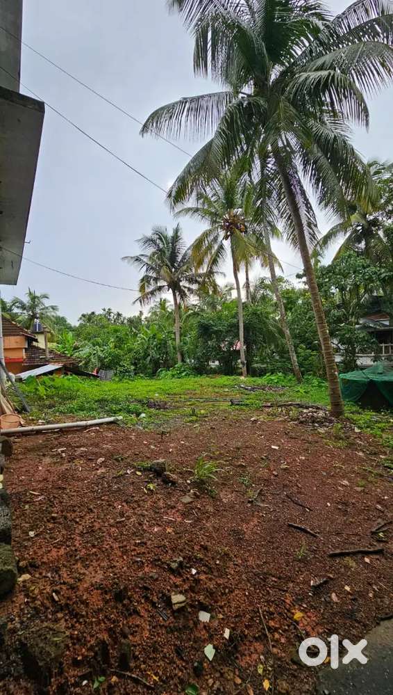 Plot for sale in guruvayoor (price negotiable)