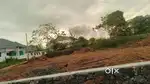 Kothamangalam kozhipppillly