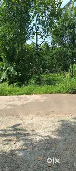 Land For Sale 17.5 Cents