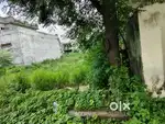 247 gaj plot in Imperial city, Amritsar