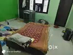 Cooler and bed
