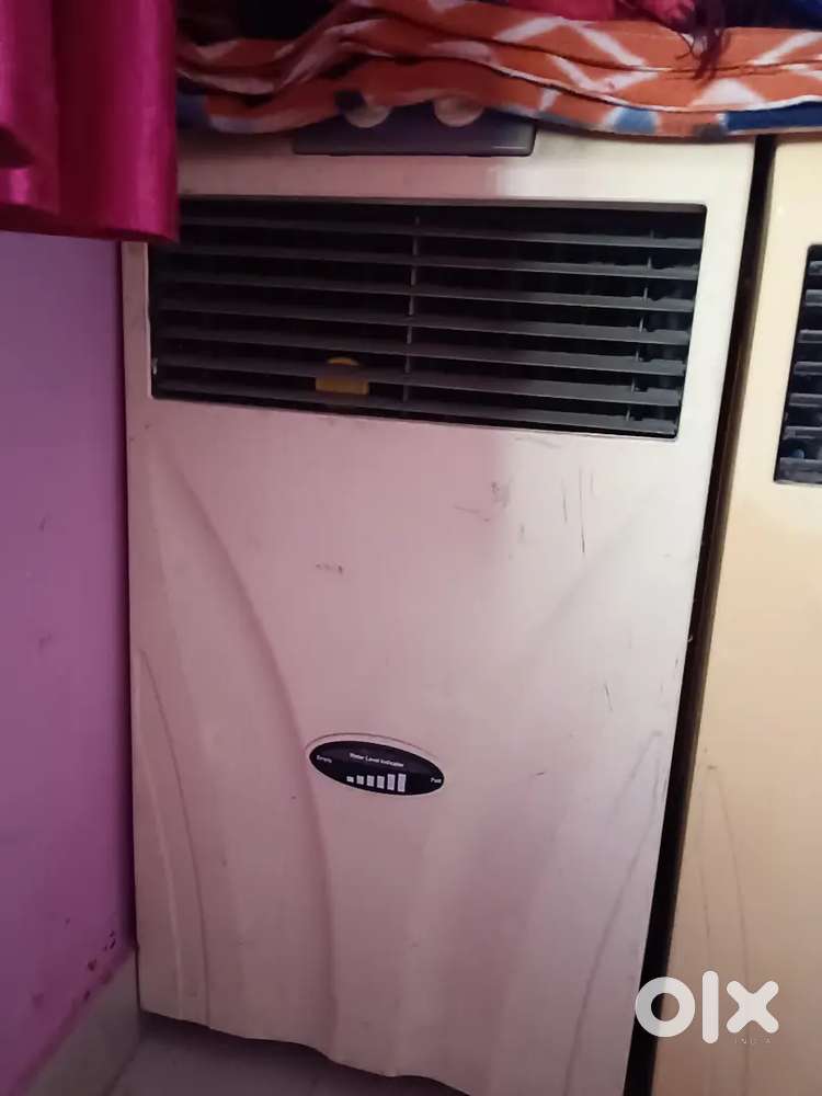 Electric cooler