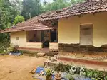2 acer land with coffee,pepper etc for sale @WAYANAD