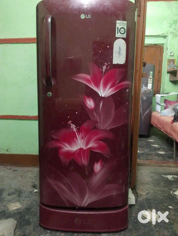 lg refrigerstor