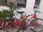 Raleigh Hybrid cycle red colour route 3