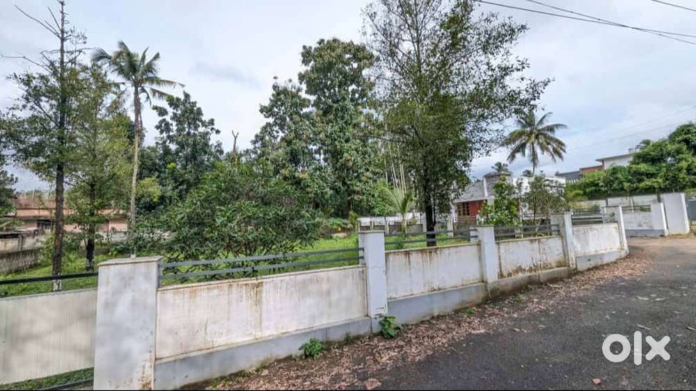 Cochin Airport Side  5–10 Cent Villa Plots  NH Access  ₹2 L DP